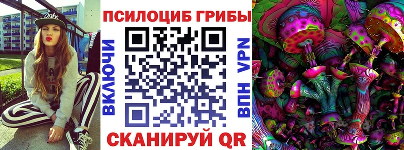 Купить где  Верхоянск  Галлюциногенные грибы Cubensis 